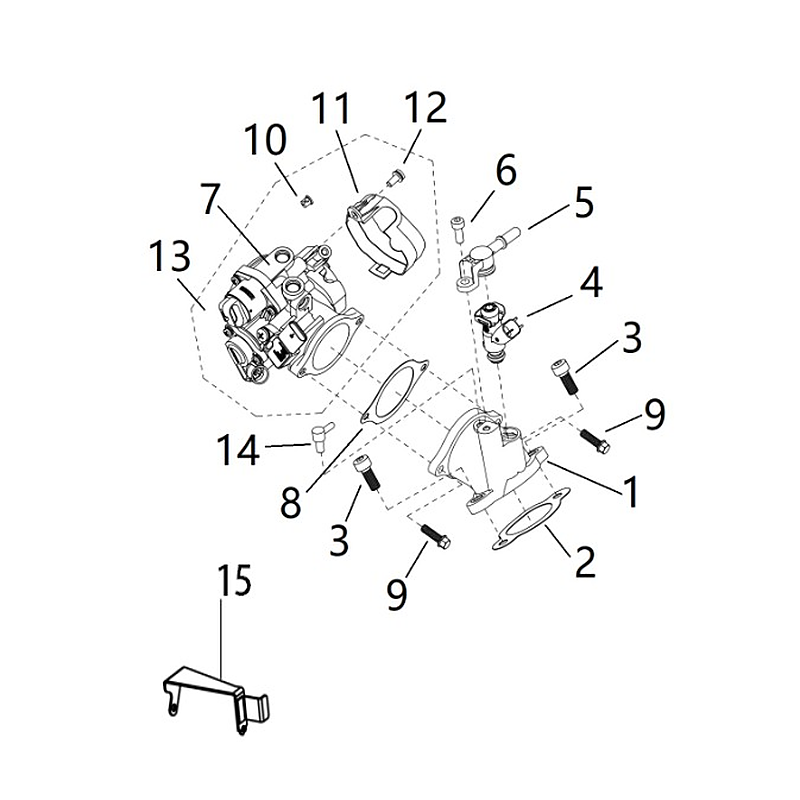 Fuel Injection and Throttle Body