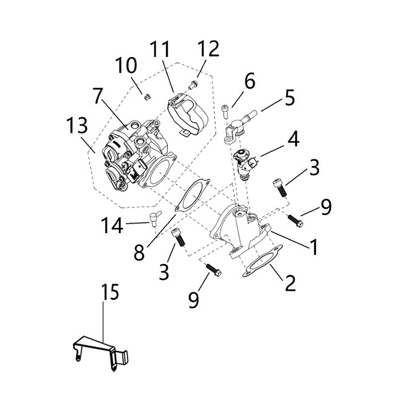 Fuel Injection and Throttle Body