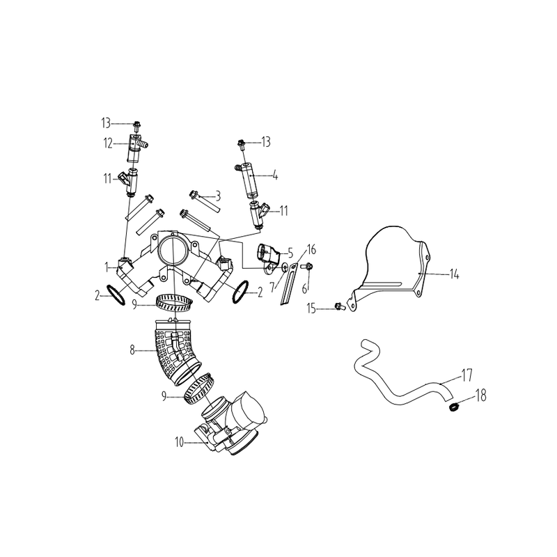 Intake Manifold & Throttle Body