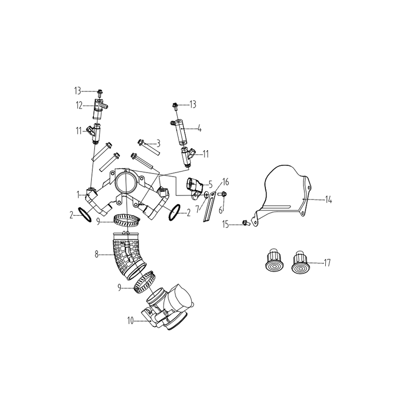 Intake Manifold & Throttle Body
